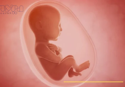 تغییرات بدن مادر و جنین در سه ماهه اول بارداری